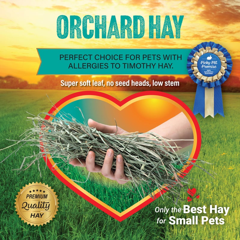 Small Pet Select Orchard Grass Hay Pet Food for Rabbits, Guinea Pigs, Chinchillas and Other Small Animals, Premium Natural Hay Grown in The US, 5 LB - Image 5